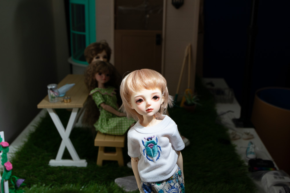 The backyard set
