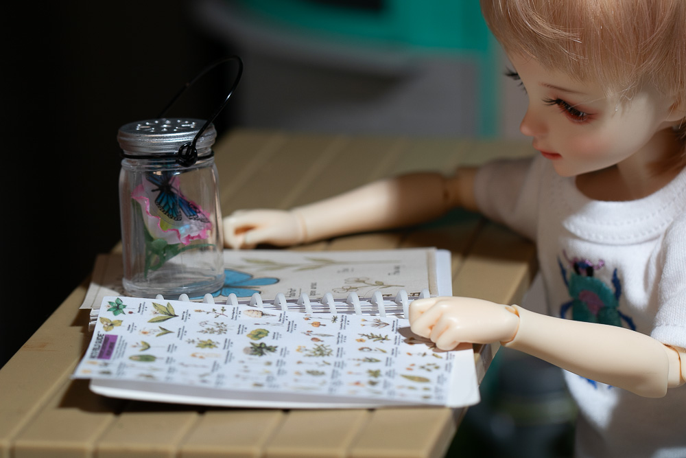 Piper at her field guide