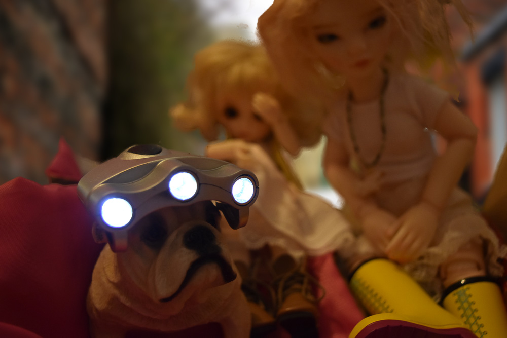 The Doll Graveyard