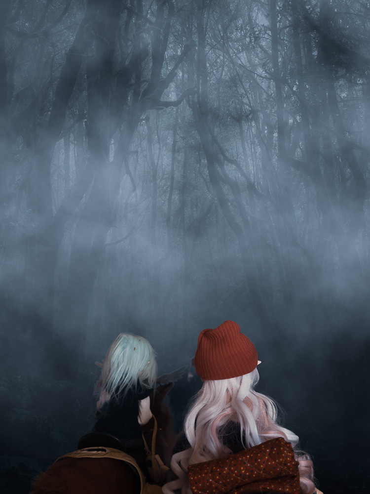 Into the forest