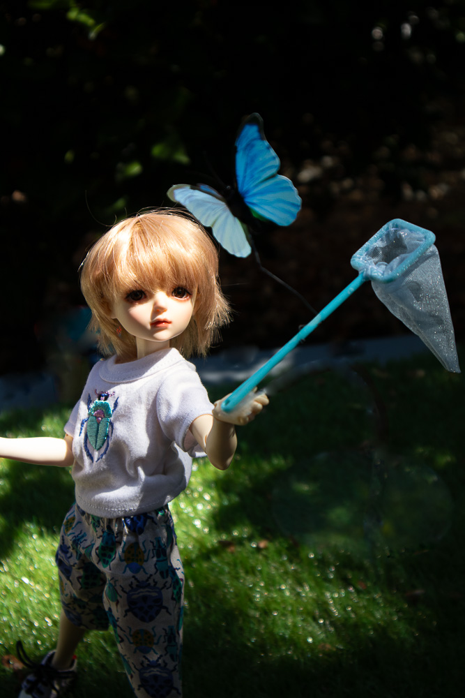 Piper chases the butterfly