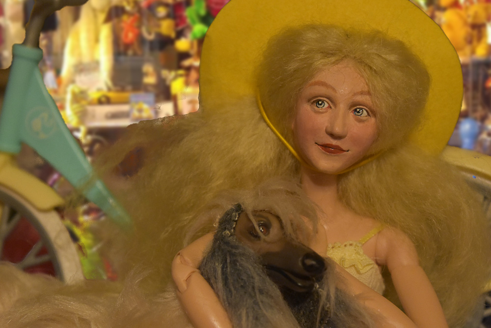 Daisy and a Day in the Life