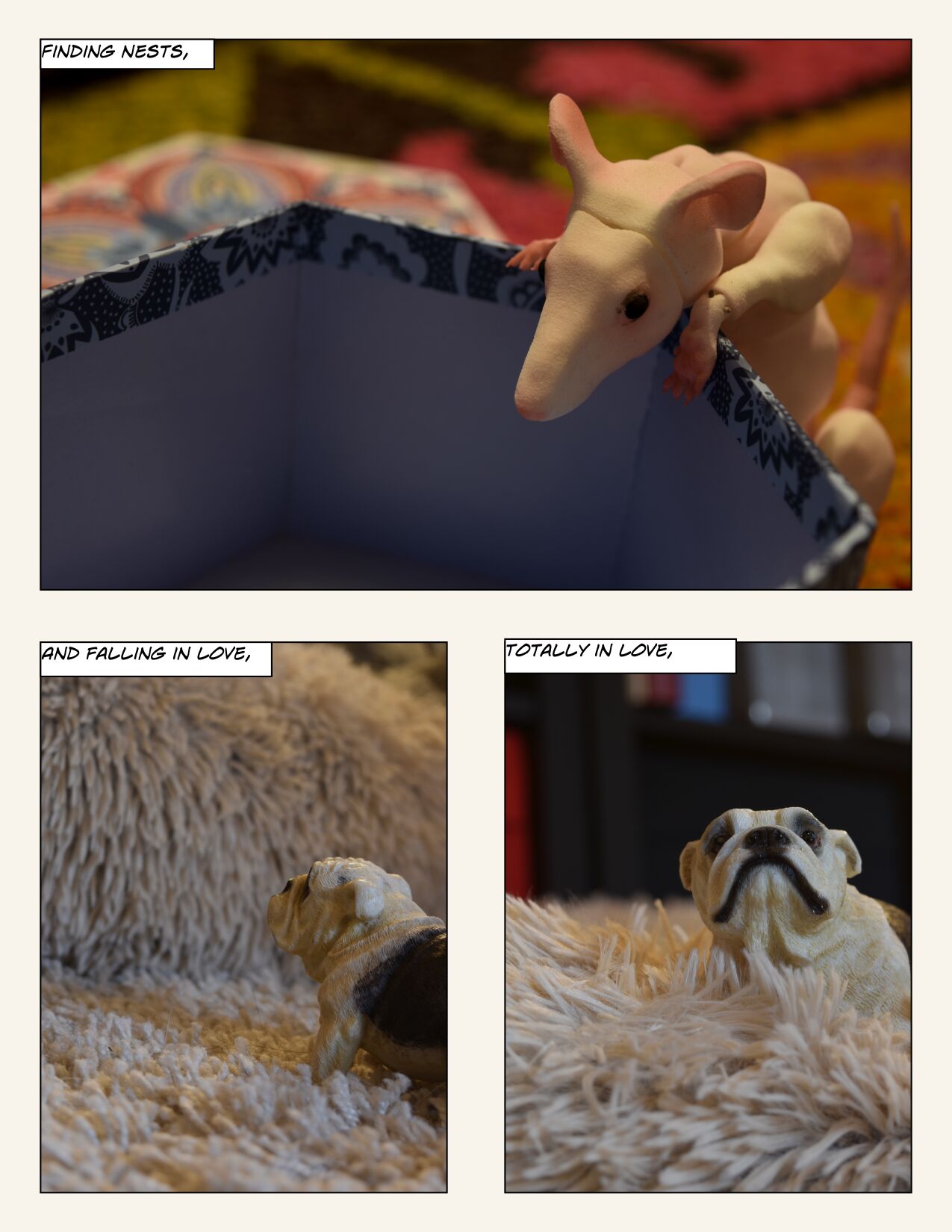 Safe and Warm at Home page 9