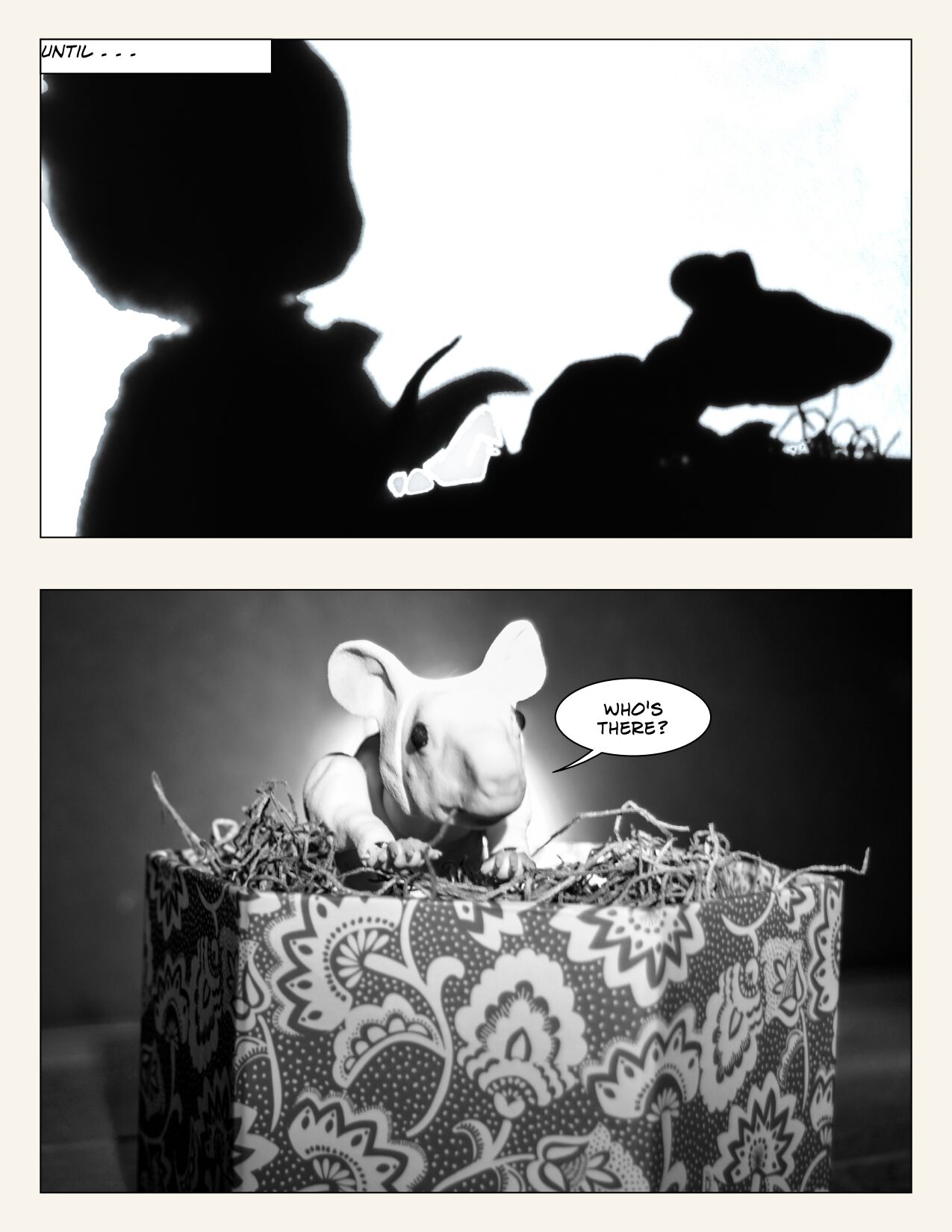 Safe and Warm at Home page 11